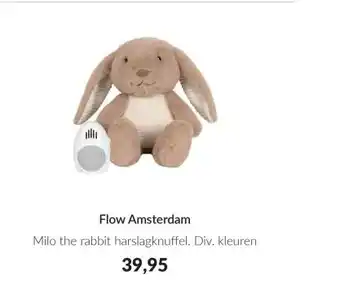 Babypark Flow Amsterdam aanbieding