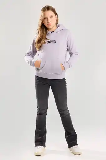 Wehkamp America Today hoodie paars aanbieding