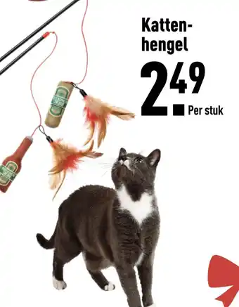 ALDI Katten- hengel aanbieding