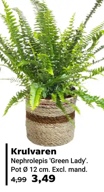 Tuincentrum Osdorp Krulvaren aanbieding