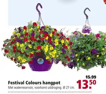 Welkoop Festival colours hangpot 27 cm aanbieding