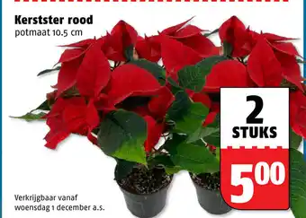 Poiesz Kerstster rood aanbieding