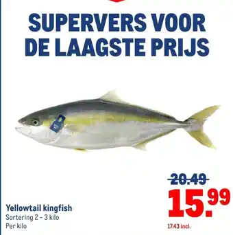 Makro Yellowtail kingfish aanbieding