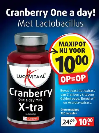 Lucovitaal Lucovitaal Cranberry One A Day Met X-Tra aanbieding