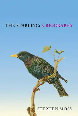 Amazon The Starling: A Biography aanbieding