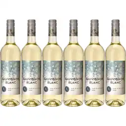 Albert Heijn Sauvignon Moldavie Sauvignon blanc 6 stuks aanbieding