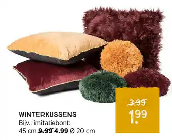 Xenos Winterkussens 20 cm aanbieding