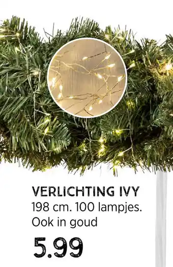 Xenos Verlichting ivy 198 cm 100 lampjes aanbieding