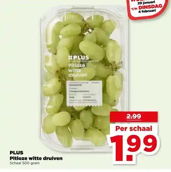 PLUS PLUS Pitloze witte druiven aanbieding