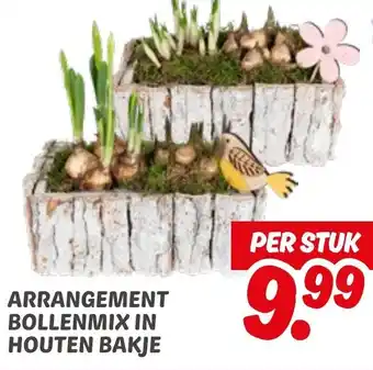 Dekamarkt Arrangement bollenmix in houten bakje aanbieding