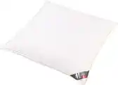 Bol.com Meisterhome • 80 x 80 dons hoofdkussen - Kussen - hotel kwaliteit - Platinum 2000 gram aanbieding