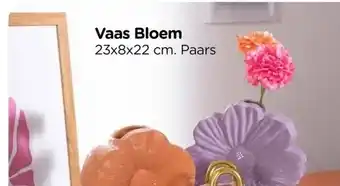 Xenos Vaas Bloem aanbieding