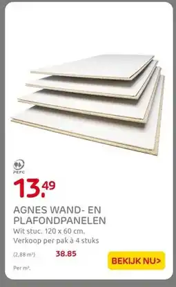 Praxis AGNES WAND- EN PLAFONDPANELEN aanbieding