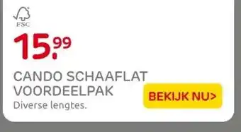 Praxis CANDO SCHAAFLAT VOORDEELPAK aanbieding