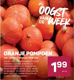 Ekoplaza ORANJE POMPOEN aanbieding