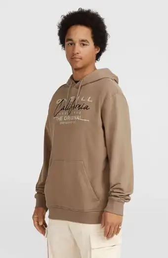 Wehkamp O'Neill hoodie beige aanbieding