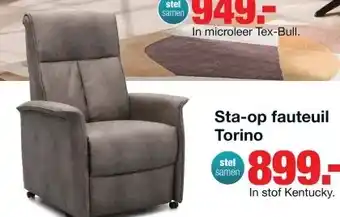 Budget Home Store Sta op fauteuil Torino aanbieding