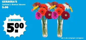 Boon`s Markt GERBERA'S aanbieding