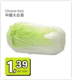 Amazing Oriëntal Chinese Kool 中國大白菜 aanbieding