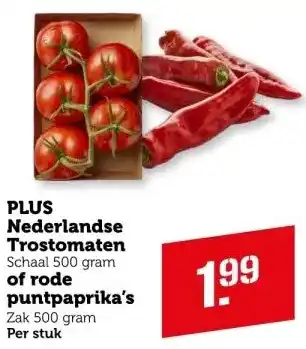 Coop PLUS Nederlandse Trostomaten of rode puntpaprika's aanbieding