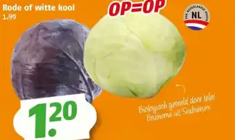 Poiesz Rode of witte kool aanbieding