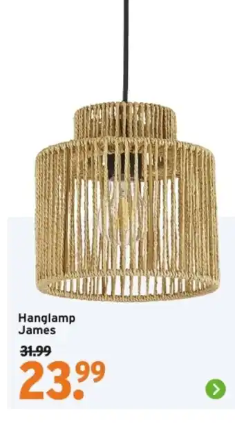 GAMMA Hanglamp James aanbieding