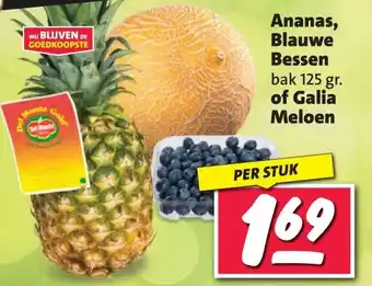 Nettorama Ananas, Blauwe Bessen of Galia Meloen aanbieding