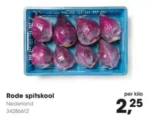 HANOS Rode spitskool aanbieding