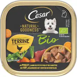 Intratuin Cesar hondenvoer in paté Natural Goodness kip 100 g aanbieding