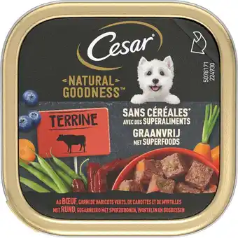 Intratuin Cesar hondenvoer in paté Natural Goodness rund 100 g aanbieding