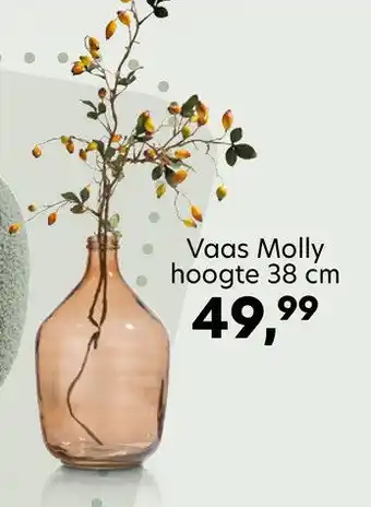 Happy@Home Vaas Molly aanbieding