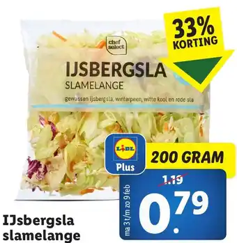 Lidl Witlof aanbieding