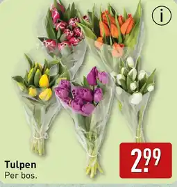 ALDI Tulpen aanbieding