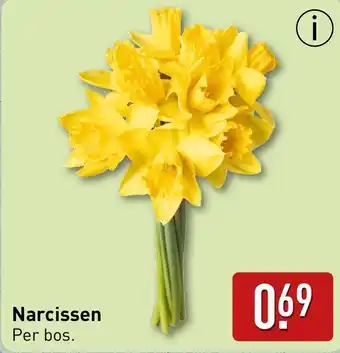 ALDI Narcissen aanbieding