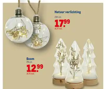 Makro Natuur Verlichting Of Boom aanbieding