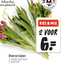 Jumbo Diverse tulpen aanbieding