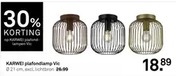 Karwei Karwei plafondlamp vic aanbieding