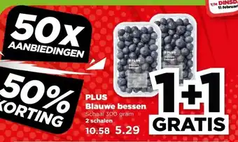 PLUS PLUS Blauwe bessen aanbieding