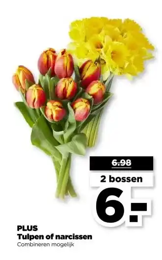 PLUS PLUS Tulpen of narcissen aanbieding