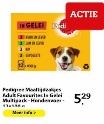 Pets Place Pedigree Maaltijdzakjes Adult Favourites In Gelei Multipack - Hondenvoer aanbieding