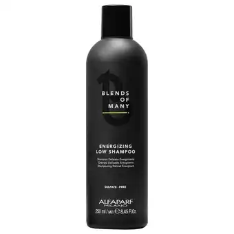 Douglas ALFAPARF MILANO Blends of Many 250 ml aanbieding