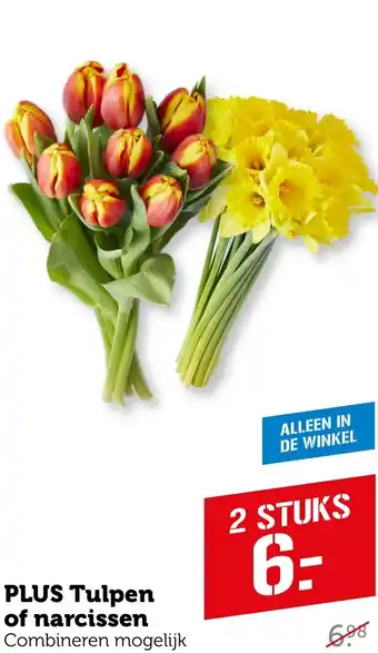 Coop PLUS Tulpen of narcissen aanbieding