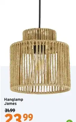 GAMMA Hanglamp James aanbieding