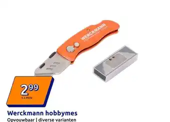 Action Werckmann hobbymes aanbieding