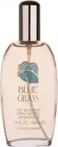 Bol.com Elizabeth Arden Blue Grass - 100ml - Eau de parfum aanbieding