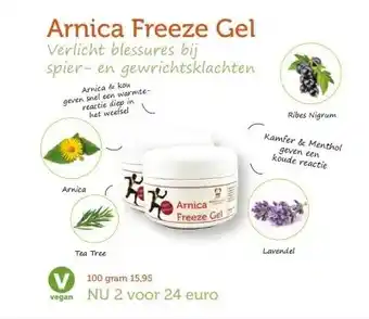 De Rode Pilaren Arnica Freeze Gel aanbieding