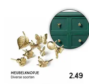 Xenos Meubelknopje aanbieding