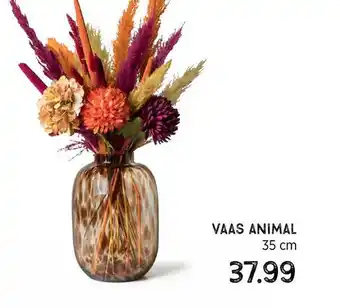 Xenos Vaas Animal 35 Cm aanbieding