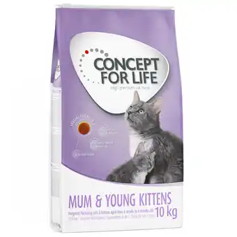 Zooplus 20% korting op 9 kg / 10 kg Concept for Life Katten droogvoer - Mum & Young Kittens 10kg aanbieding