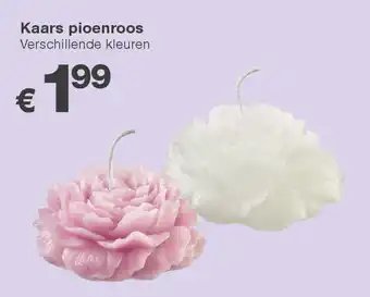 Kik Kaars pioenroos aanbieding